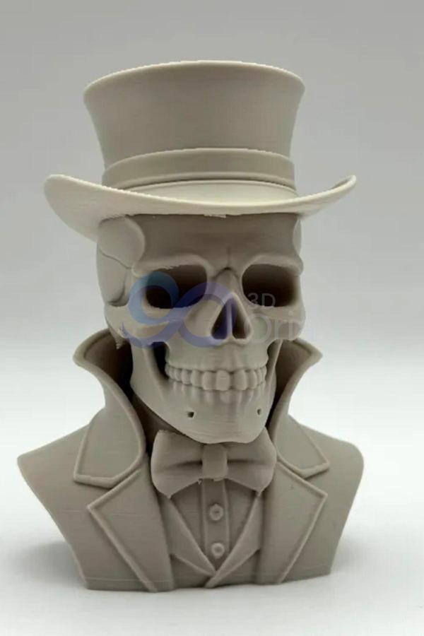 3DOria Kuru Kafa Beyefendisi Biblo & Özel Tasarım & Kusursuz Dizayn 13 Cm - Image 1