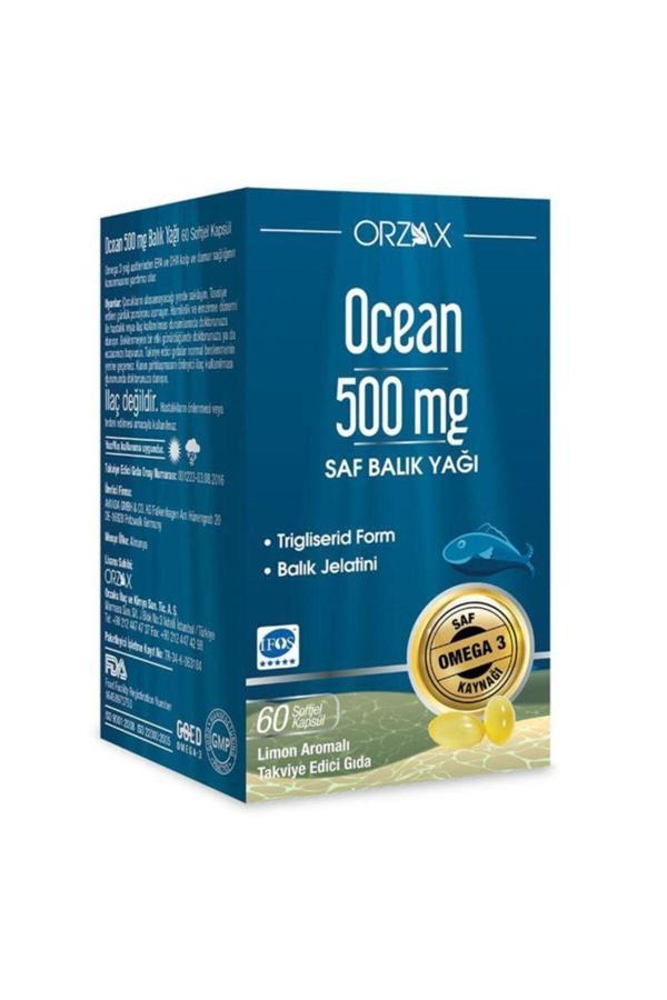 Omega 3 Balık Yağı 500 Mg 60 Kapsül - Image 1