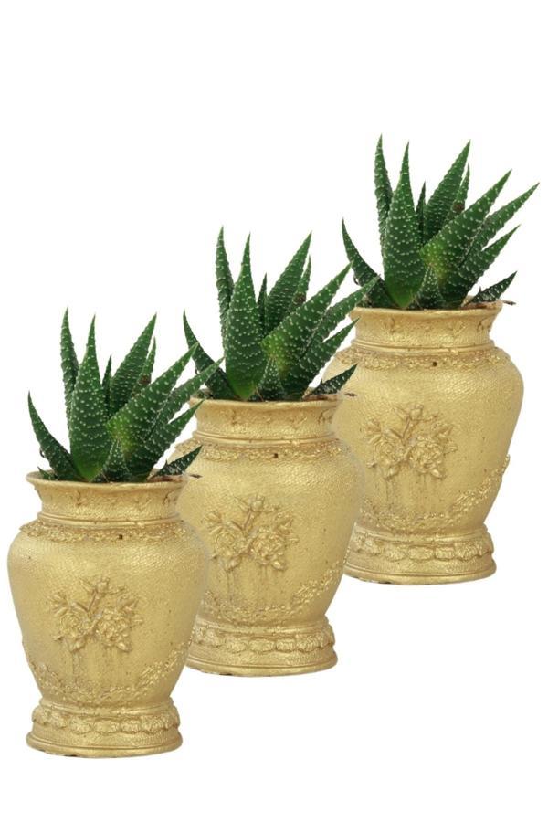 Mini Çiçek Saksı Küçük Sukulent Siyah Kaktüs Saksısı 3'lü Set Mini Desenli Vazo Saksı Model - Image 1