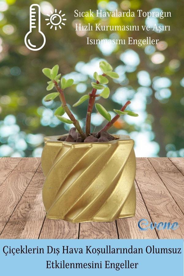 Mini Çiçek Saksı Küçük Sukulent Altın Kaktüs Saksısı Kalın Çizgili Yıldız Model - Image 1