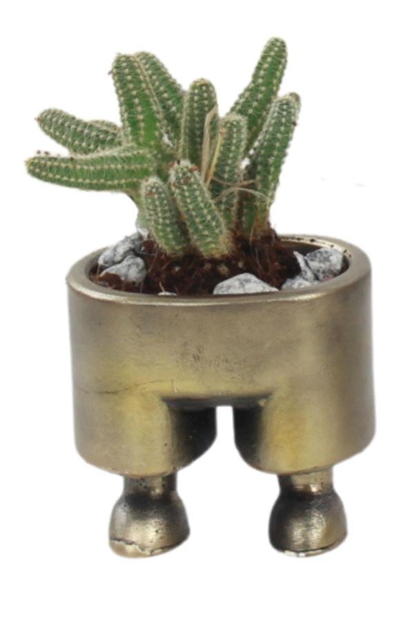 Saksı Çiçek Kaktüs Saksısı Lüx 8,5 Cm Gümüş Eskitme Varak Boyalı Pantolon Desen Saksı Çiçeklik - Image 1