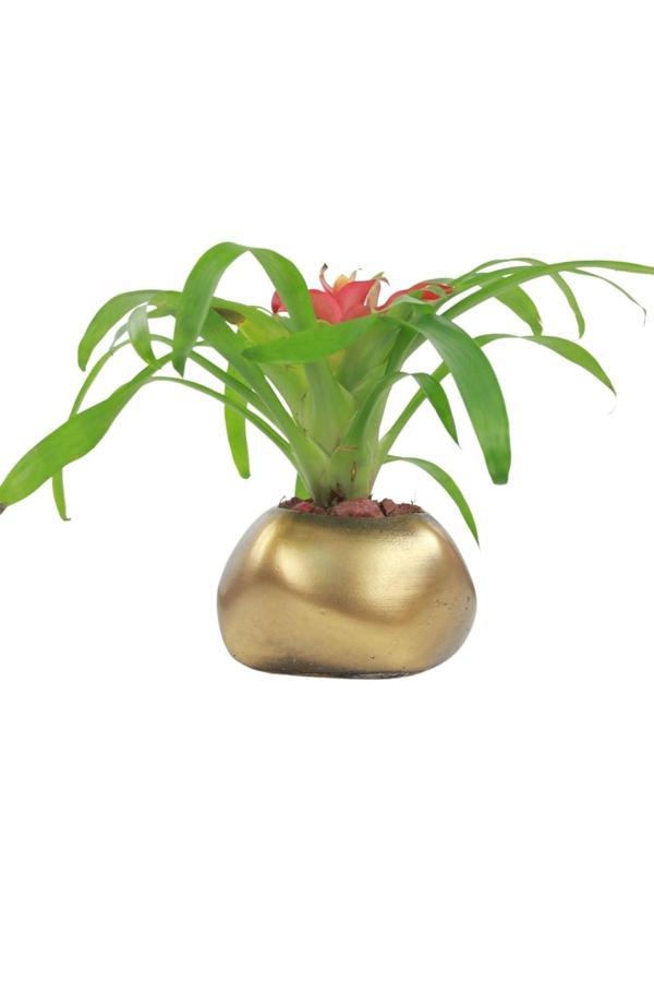 Saksı Çiçek Kaktüs Saksısı Lüx 14 Cm Altın Eskitme Varak Boyalı Elips Desen Saksı Çiçeklik - Image 1