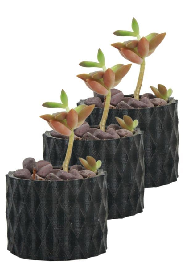 Mini Çiçek Saksı Küçük Sukulent Siyah Kaktüs Saksısı 3'lü Set Baklava Çizgili Model - Image 1