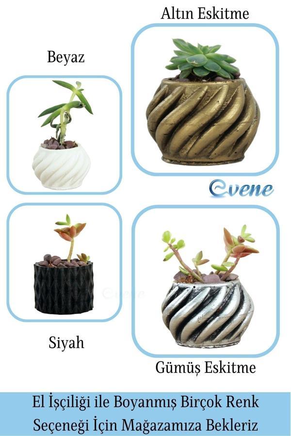 Mini Çiçek Saksı Küçük Sukulent Gümüş Kaktüs Saksısı Kalın Çizgili Spiral Model - Image 1