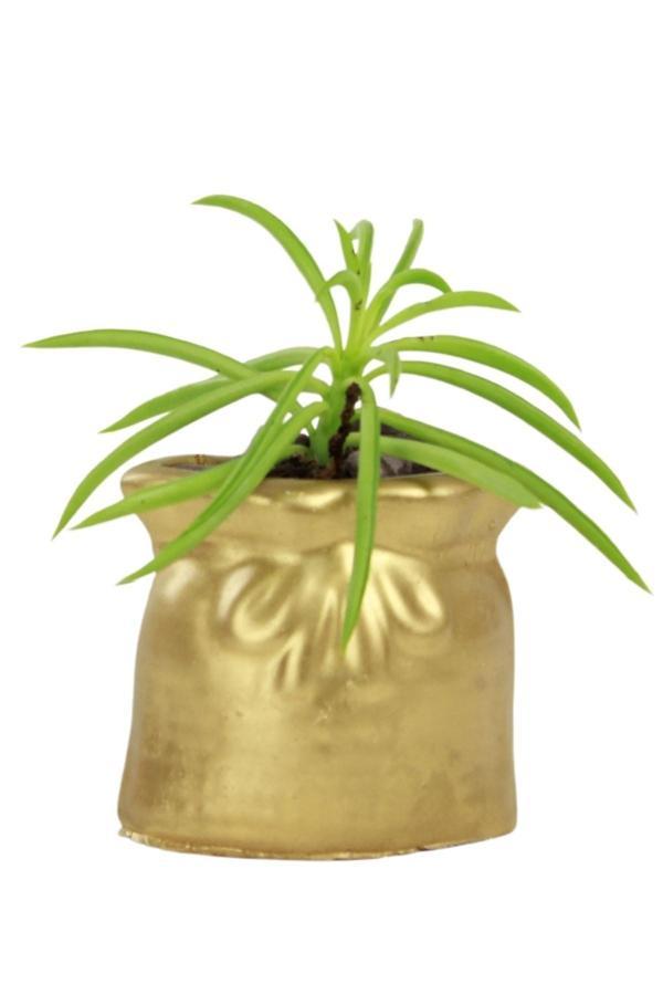 Mini Çiçek Saksı Küçük Sukulent Gümüş Kaktüs Saksısı Kese Model - Image 1