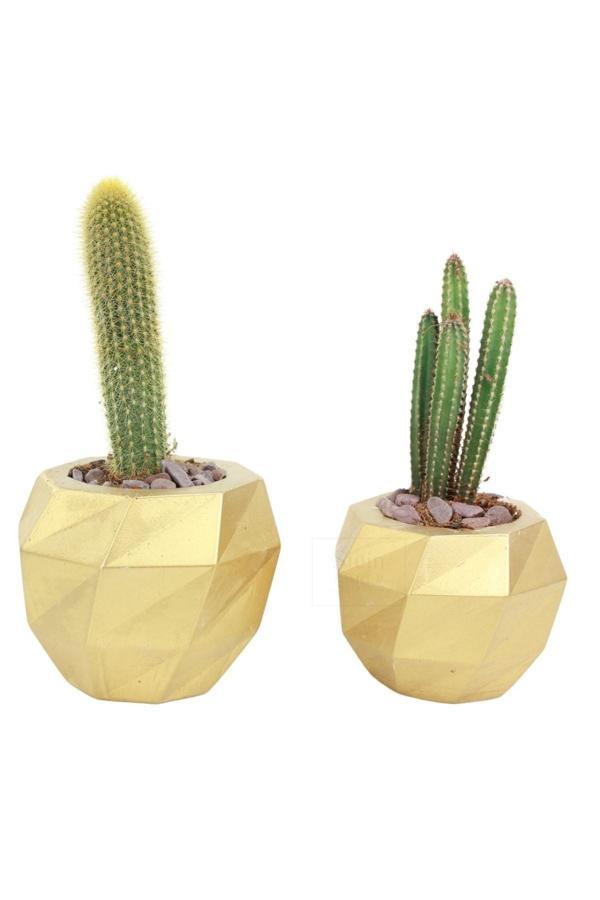 Çiçek Saksısı Büyük Boy 2 Adet Altın Renk Uygulamalı Dönen Poly Model - Image 1