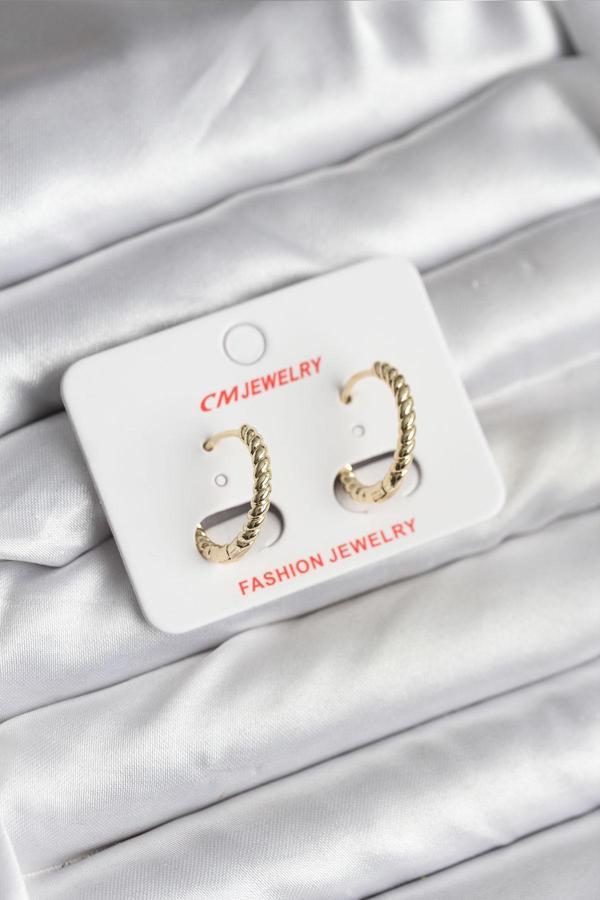 14K Gold Renk Kaplama Burgu Halka CM Kadın Küpe - EBJ251201W38669 - Image 1