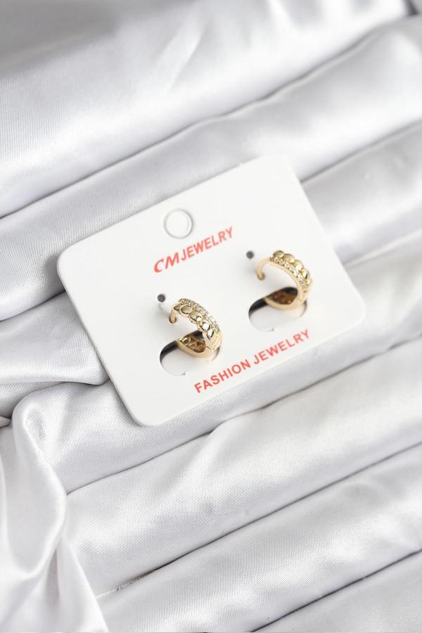 14K Gold Renk Kaplama CM Kadın Küpe - EBJ251201W38653 - Image 1