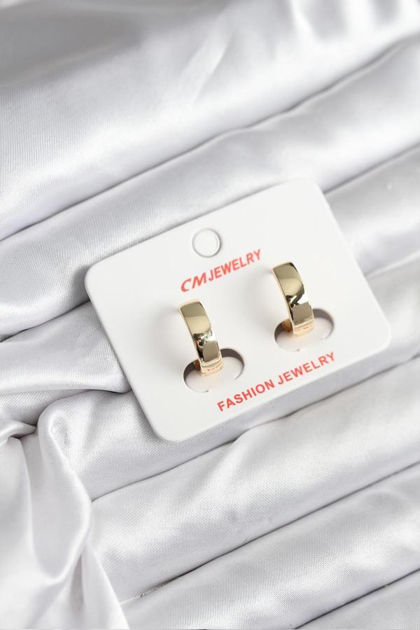 14K Gold Renk Kaplama CM Kadın Küpe - EBJ251201W38654 - Image 1