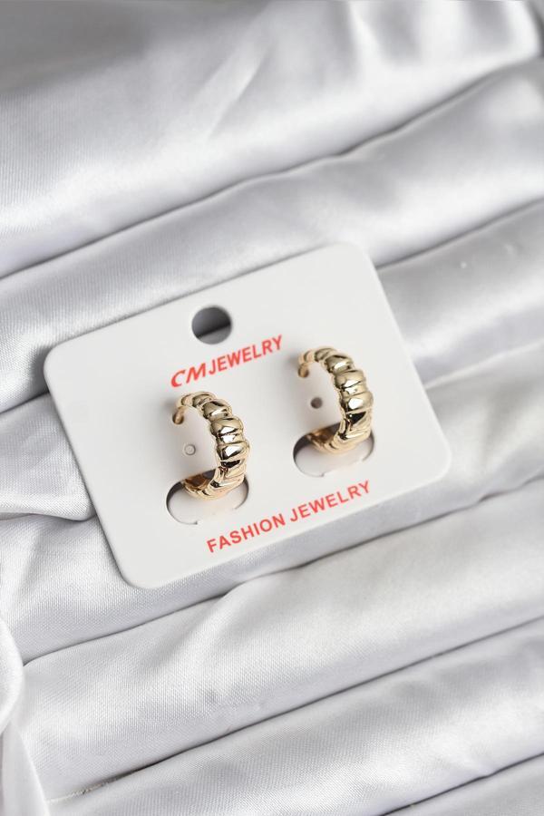 14K Gold Renk Kaplama CM Kadın Küpe - EBJ251201W38668 - Image 1