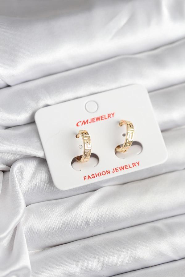 14K Gold Renk Kaplama CM Kadın Küpe - EBJ251201W38651 - Image 1