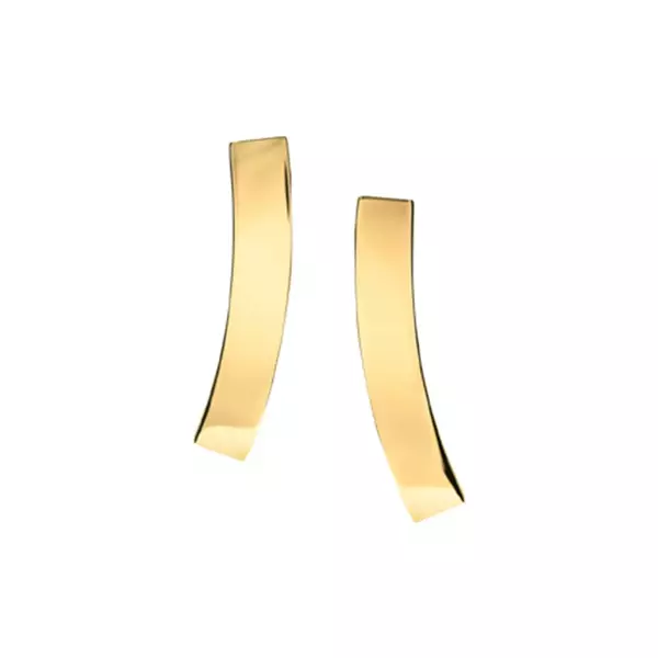 Calvin Klein CKJ35000850 Kadın Küpe - Image 1