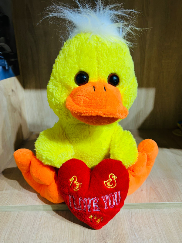 KALPLİ ÖRDEK 45 CM - Image 1