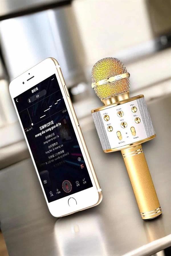 Şarjlı ve Uzun Pil Ömürlü Karaoke Mikrofon USB Bellek Destekli Profesyonel Ses - Image 1