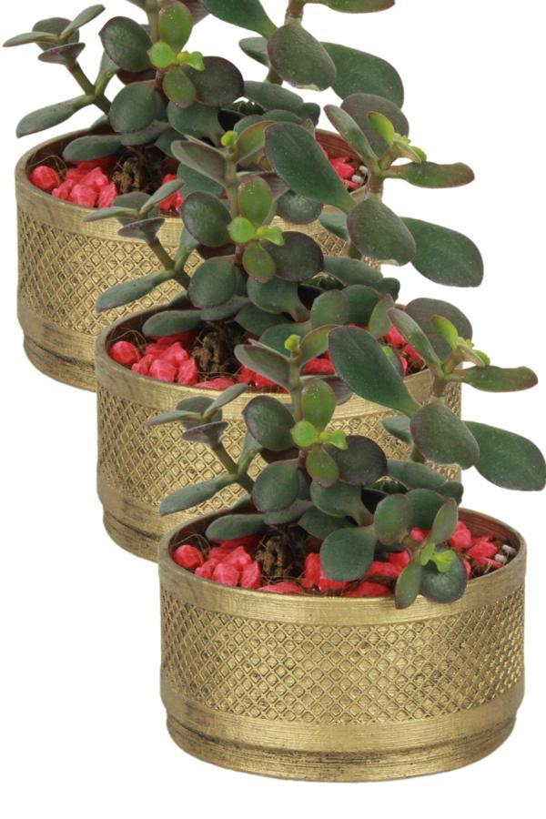 El Yapımı Saksı Beyaz Premium Kalite Dekoratif Saksı Model 17 - Image 1