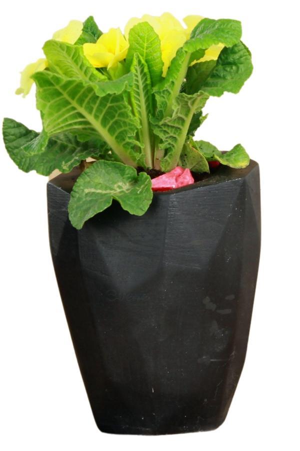 Çiçek Saksısı Beyaz Beton Saksı Model Uzun Poly - Image 1