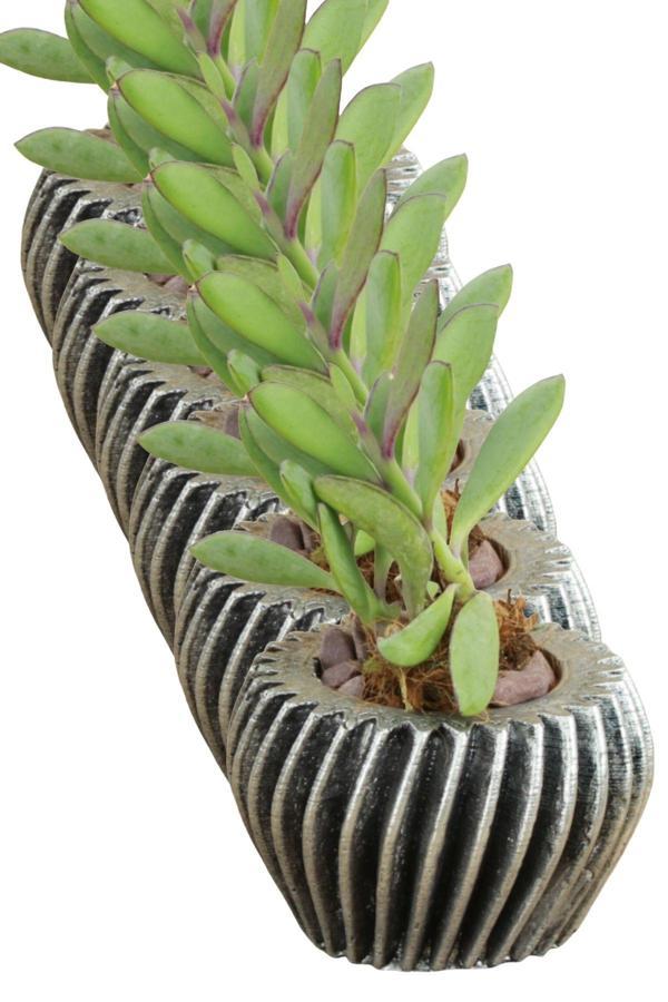 El Yapımı Saksı Seti Gümüş Dekoratif 6 Adet Saksı Küçük Boy Model 13 - Image 1