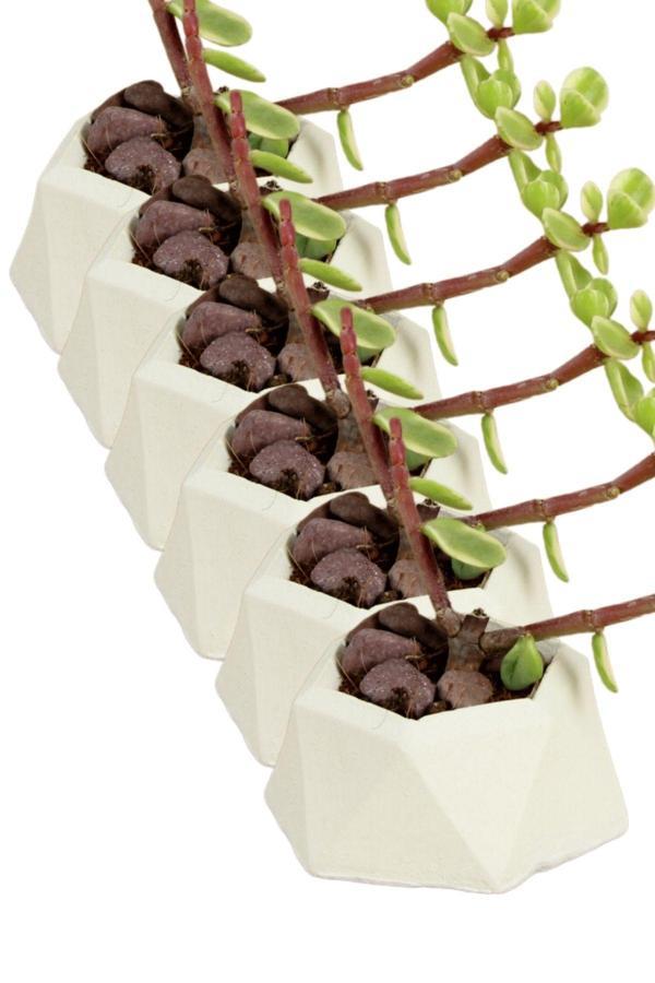 El Yapımı Saksı Seti Siyah Dekoratif 6 Adet Saksı Küçük Boy Model 27 - Image 1