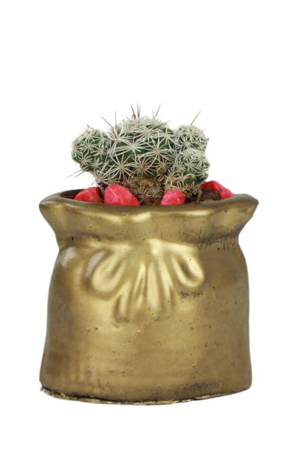 Mini Çiçek Saksısı Küçük Sukulent Siyah Kaktüs Saksı Kese Model - Image 1