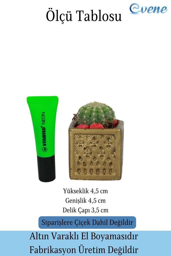 Mini Çiçek Saksısı Küçük Sukulent Gümüş Eskitme Kaktüs Saksı Mini Kare Model - Image 1