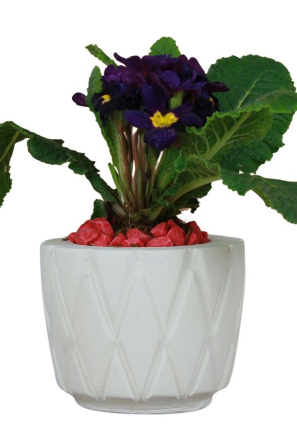 Çiçek Saksısı Beton Saksı Model Baklava - Image 1