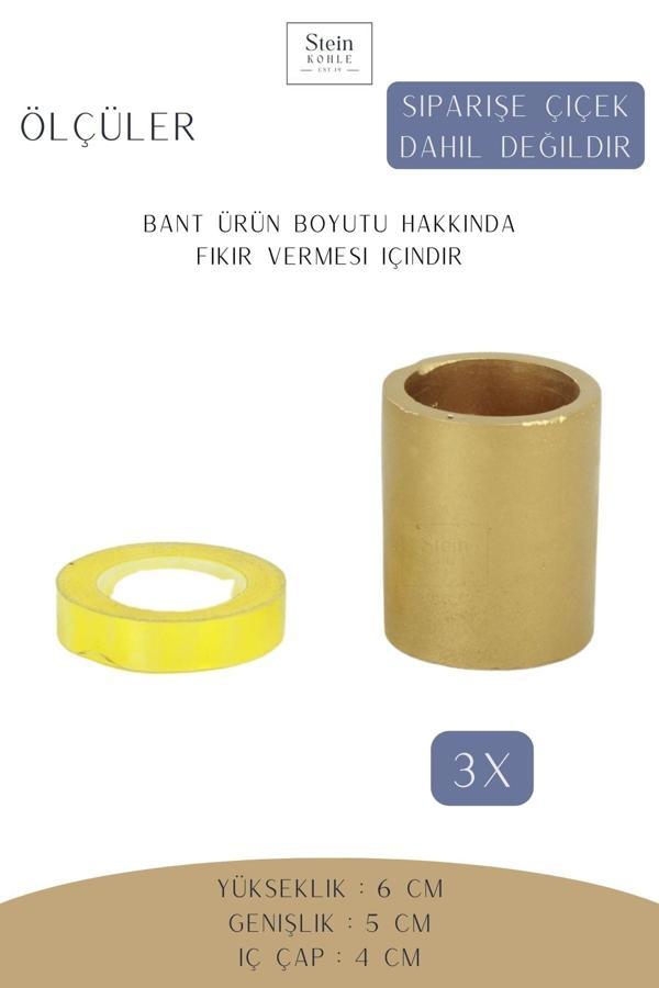 Dekoratif Saksı Minik Kaktüs Saksısı Siyah Renk 3 Adet Saksı Seti Düz Yuvarlak Model - Image 1