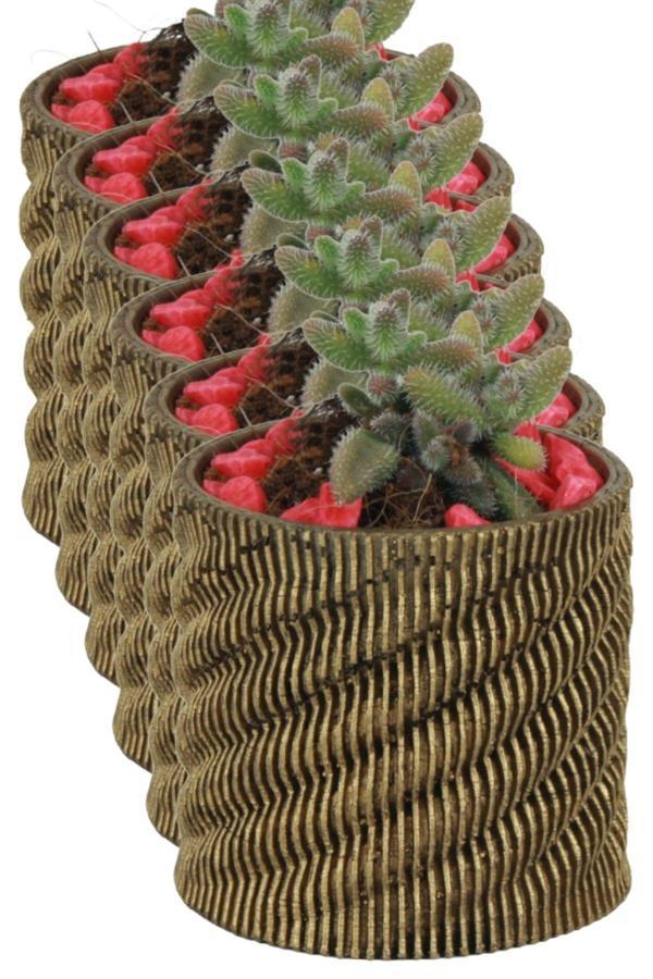 El Yapımı Saksı Seti Beyaz Dekoratif 6 Adet Saksı Küçük Boy Model 39 - Image 1