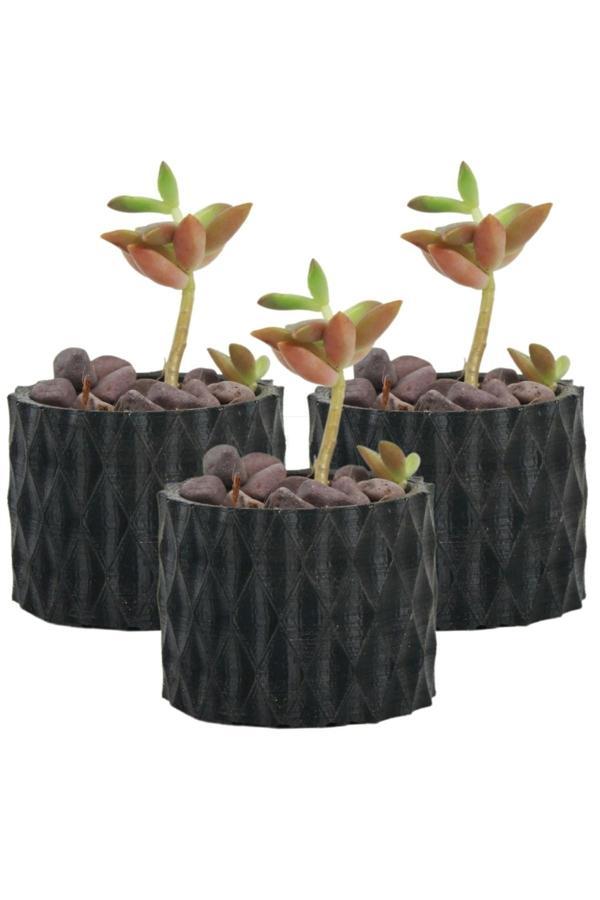 Dekoratif Saksı Minik Kaktüs Saksısı Siyah Renk 3 Adet Saksı Seti Baklava Model - Image 1