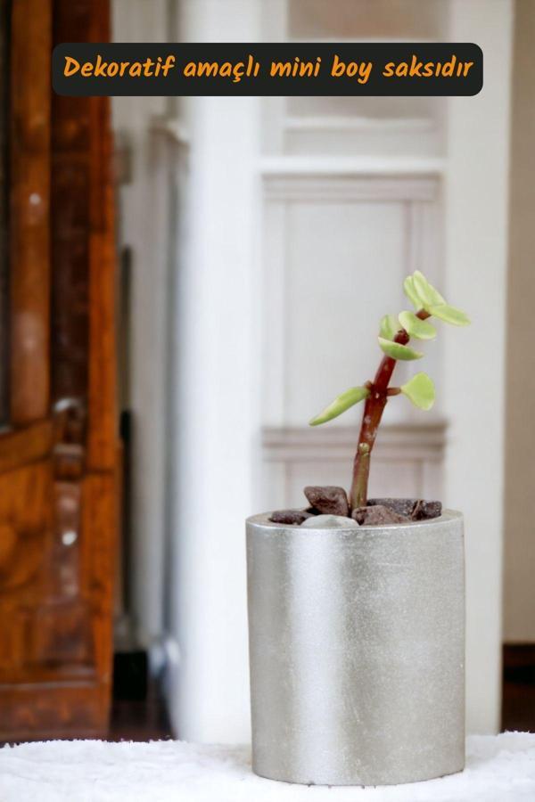 Premium Saksı Minyatür Dekoratif Kaktüs Sukulent Saksısı Model 15 - Image 1