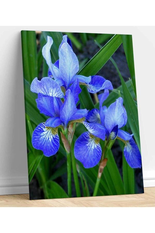 Çiçek Resimli Kanvas Tablo - Image 1