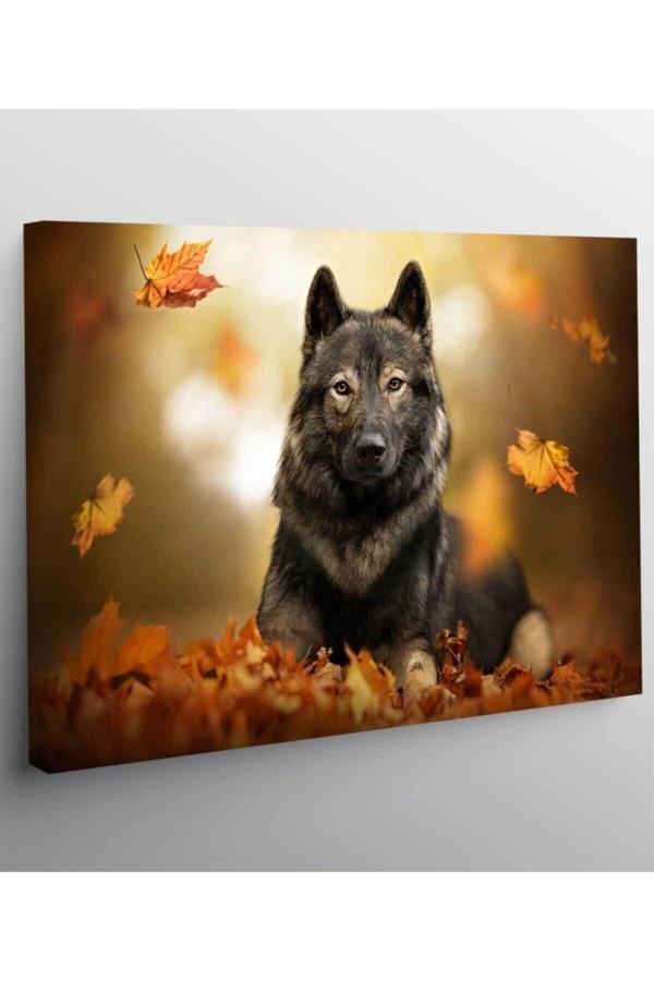 Köpek Resimli Kanvas Tablo - Image 1