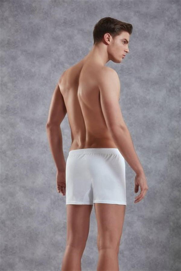 Erkek Boxer - Image 1