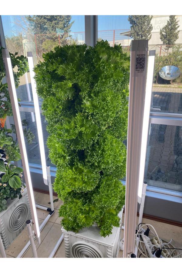 Güneydoğu Topraksız Tarım Dikey Bitki Üretim Kulesi 10 Katlı-80 Gözlü - Hidroponik - Image 1