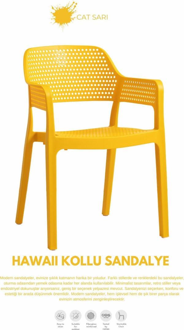 HAWAİİ KOLLU BAHÇE SANDALYESİ - Image 1