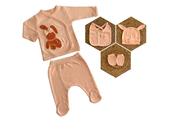 almini Yeni Sezon Tavşan Süzeneli 5 Parça Kız Bebek Hastane Çıkışı - Image 1