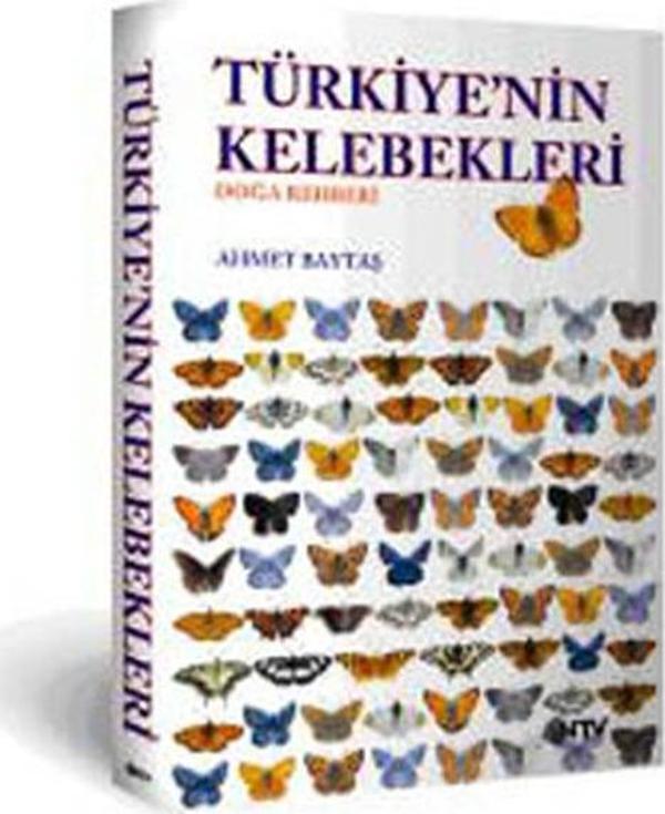 Türkiye'nin Kelebekleri - NTV - Image 1