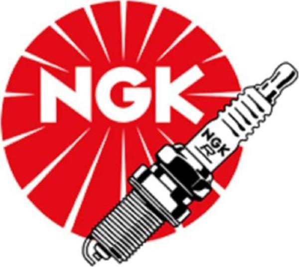Ngk Iridium Buji - Gr9Dı-8 Rotax - Image 1