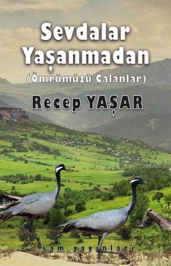 Sevdalar Yaşanmadan (Ömrümüzü Çalanlar) - Sam Yayınları - Image 1