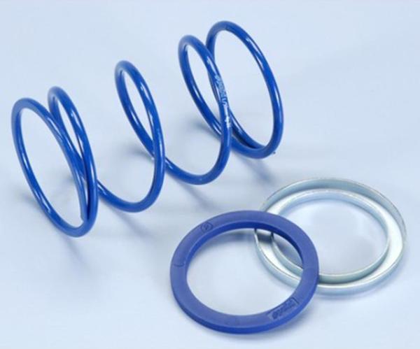 Polini COMPRESSION SPRINGS EVO-S - Image 1