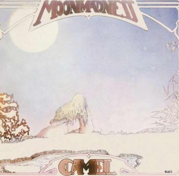 Camel Moonmadness Plak - Image 1