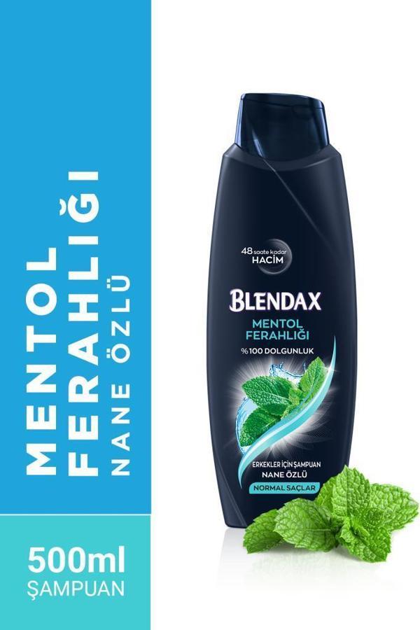 Blendax Erkekler İçin Mentollü Şampuan 500 Ml - Image 1