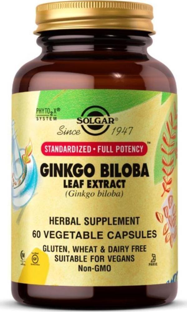 Ginkgo Biloba Leaf Extract 60 Tablet - Image 1