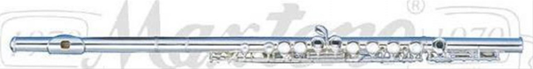 MAXTONE TF48ES FLÜT E SİLVER WCASE  TAIWAN - Image 1