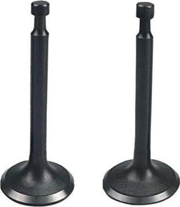 Subap Emme ve Egzoz Takım 2Hp 152F - Image 1