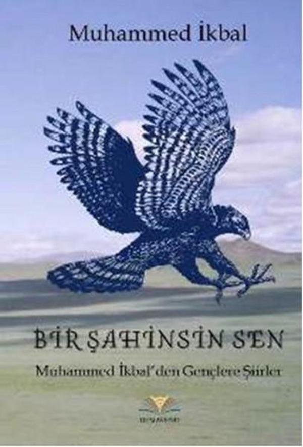 Bir Şahinsin Sen - Demavend - Image 1