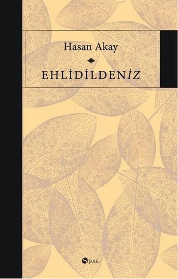 Ehlidildeniz - Şule Yayınları - Image 1