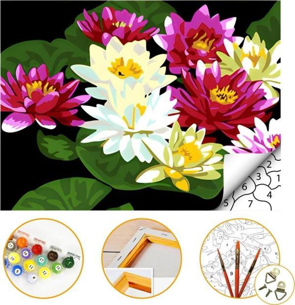 Tale Hobby Nilüfer - Sayılarla Boyama Seti Kasnağa Gerili 60x75cm Boyalar ve Fırçalar Dahil - Image 1