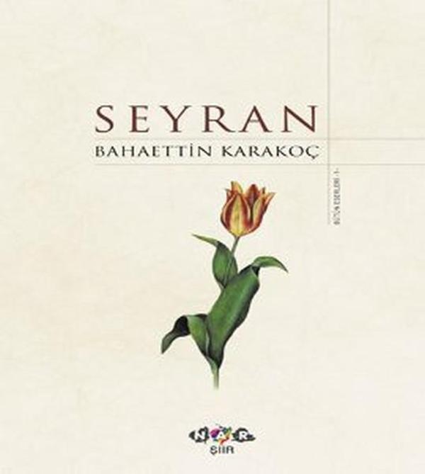 Seyran - Nar Yayınları - Image 1
