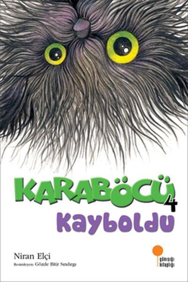 Karaböcü Kayboldu - Günışığı Kitaplığı - Image 1