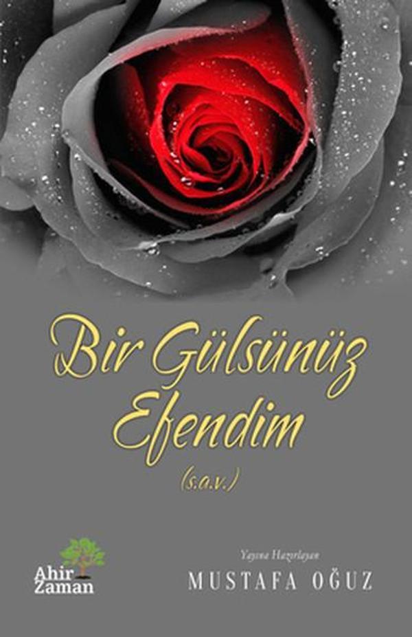 Bir Gülsünüz Efendim - Ahir Zaman - Image 1